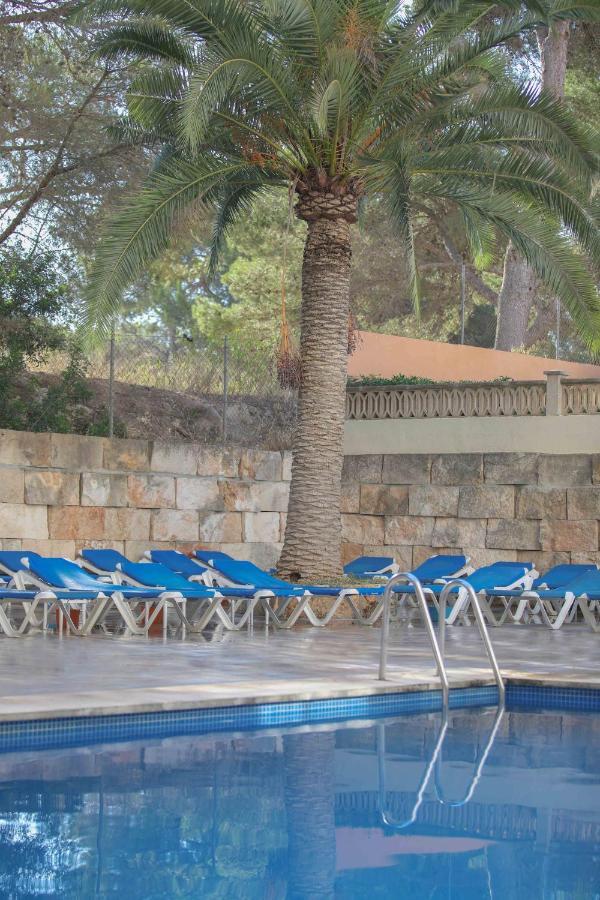 Elegance Playa Arenal Hotel El Arenal  Faciliteter billede